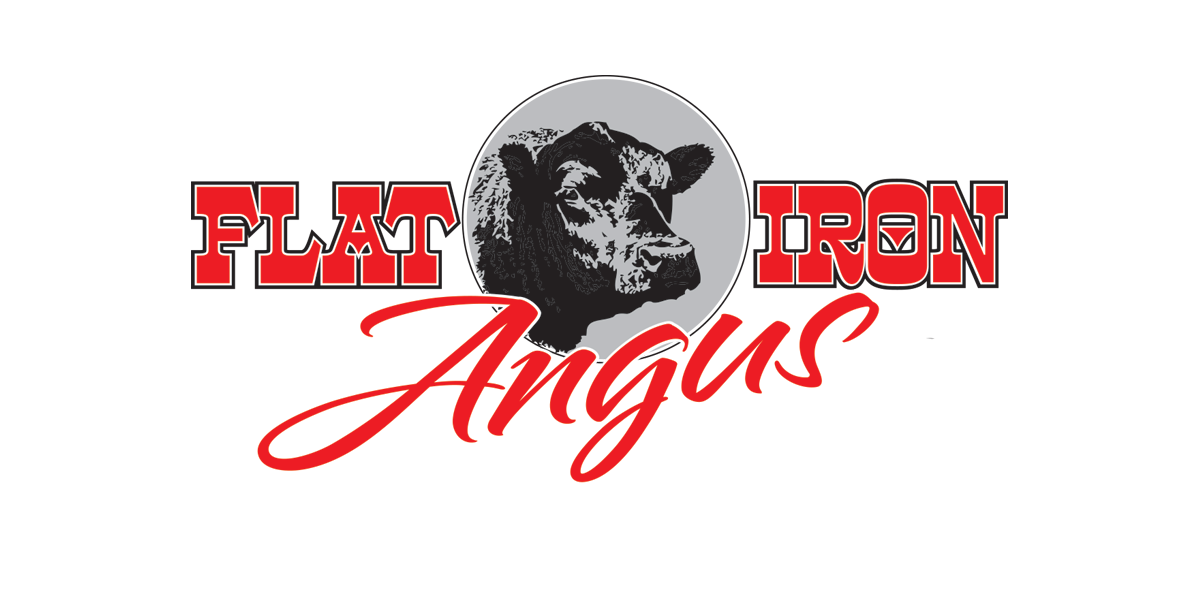 Flat Iron Angus